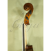 Viola 14” (35,5 cm) Genial 2 (incepator) - Lac Nitro 
